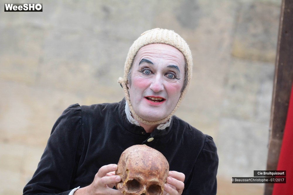 28/38 photos du spectacle Hamlet en 30 minutes