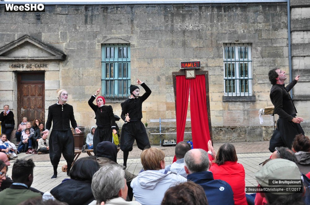 29/38 photos du spectacle Hamlet en 30 minutes