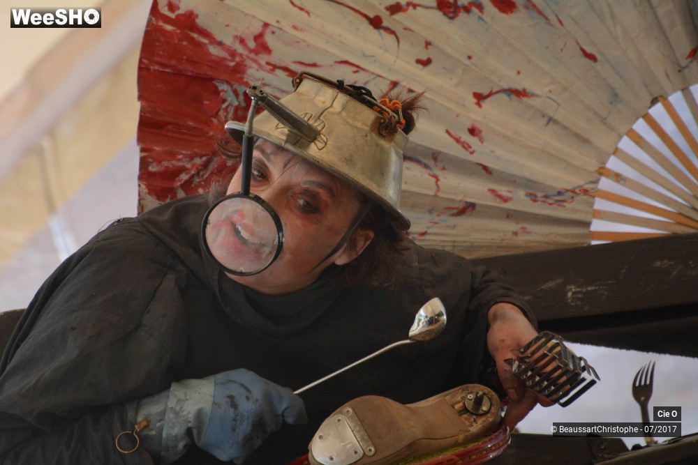 31/31 photos du spectacle 9 rue de la Renaissance