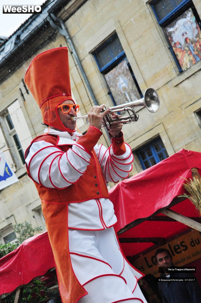 11/43 photos du spectacle Les AAA