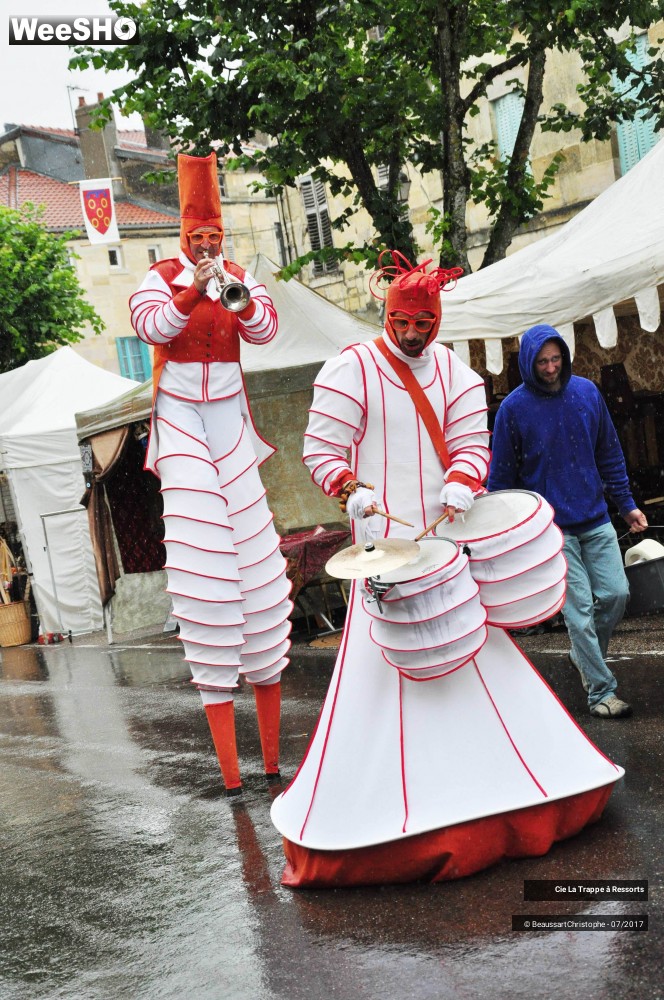 12/43 photos du spectacle Les AAA