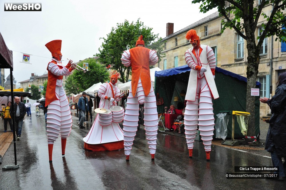 26/43 photos du spectacle Les AAA
