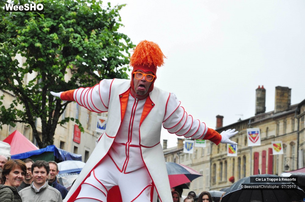 33/43 photos du spectacle Les AAA