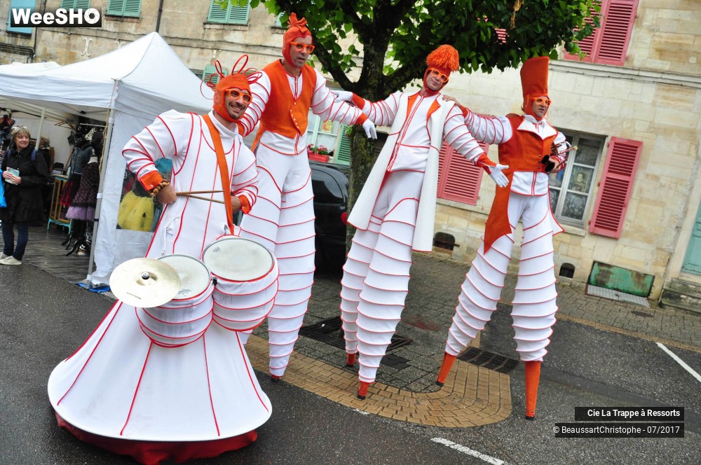 43/43 photos du spectacle Les AAA