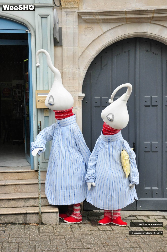 1/16 photos du spectacle Les DéDé's