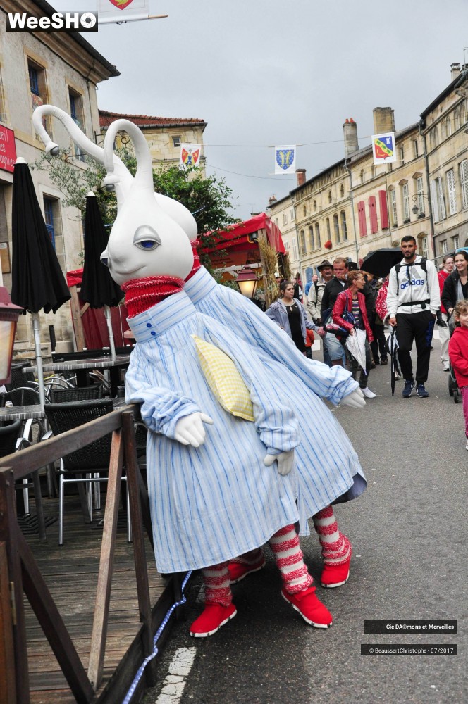 7/16 photos du spectacle Les DéDé's