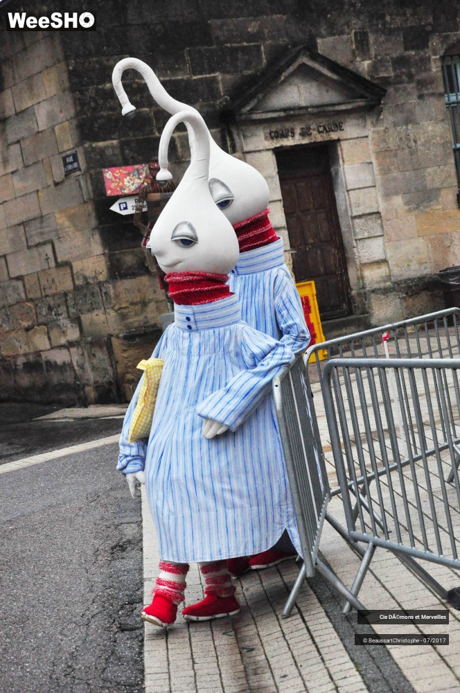 8/16 photos du spectacle Les DéDé's