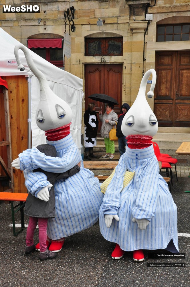 11/16 photos du spectacle Les DéDé's