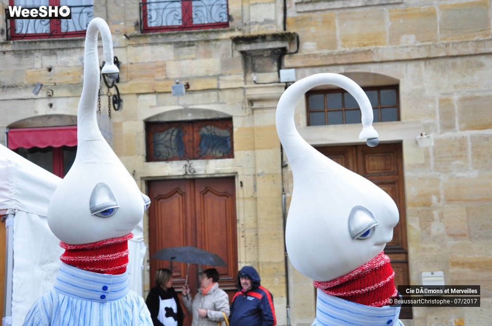 13/16 photos du spectacle Les DéDé's