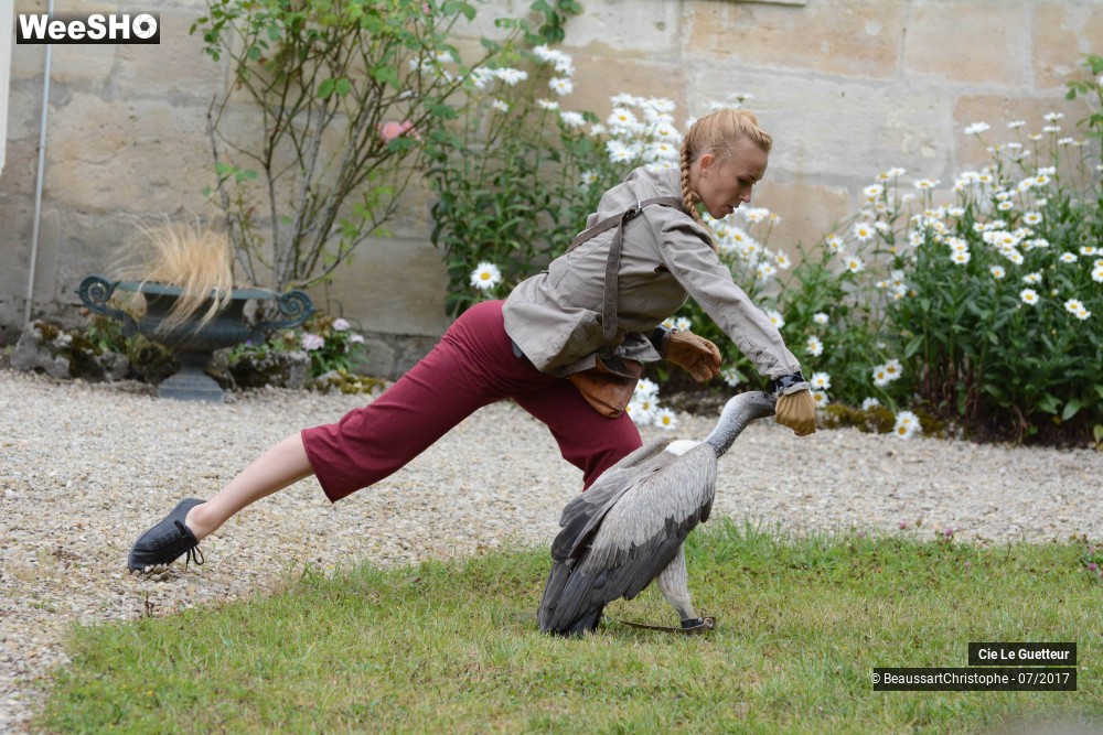 15/43 photos du spectacle Les Transis