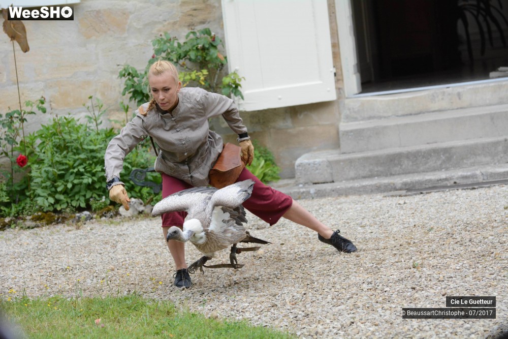 23/43 photos du spectacle Les Transis