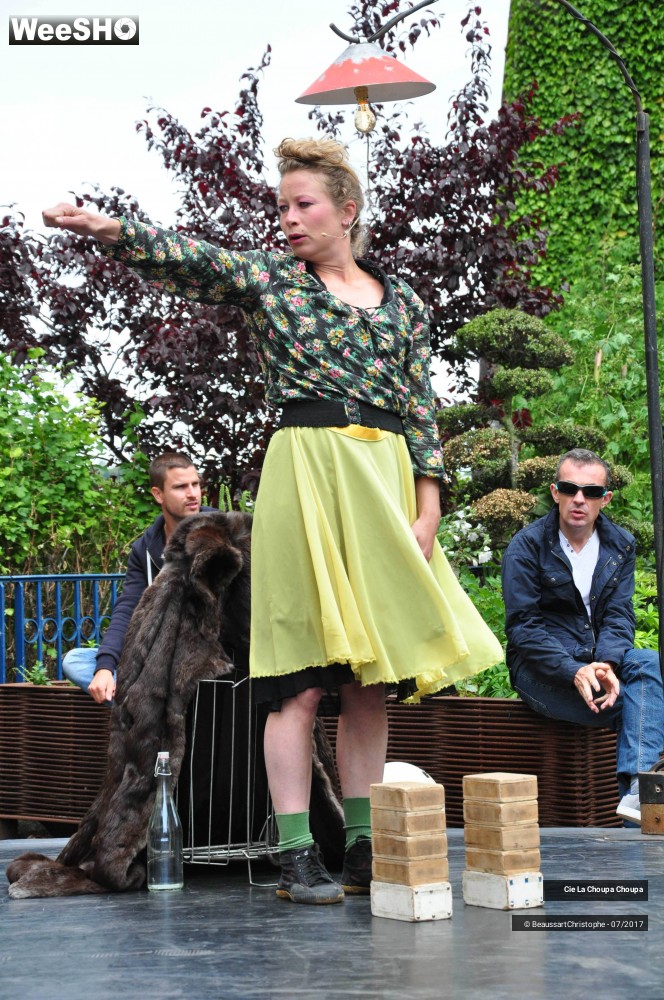 6/41 photos du spectacle La dernière danse de Monique