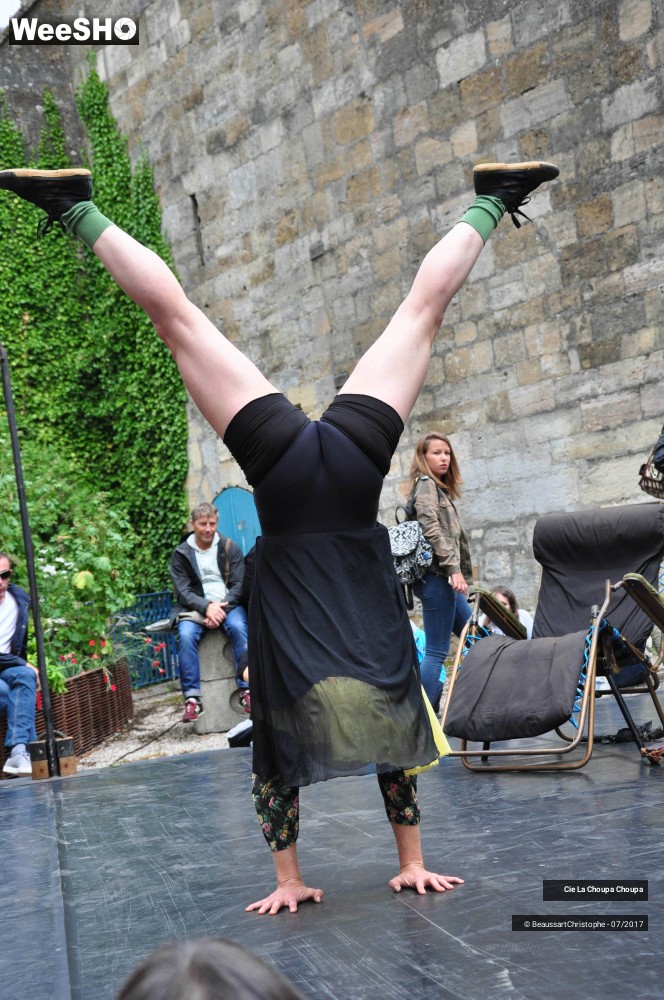 12/41 photos du spectacle La dernière danse de Monique