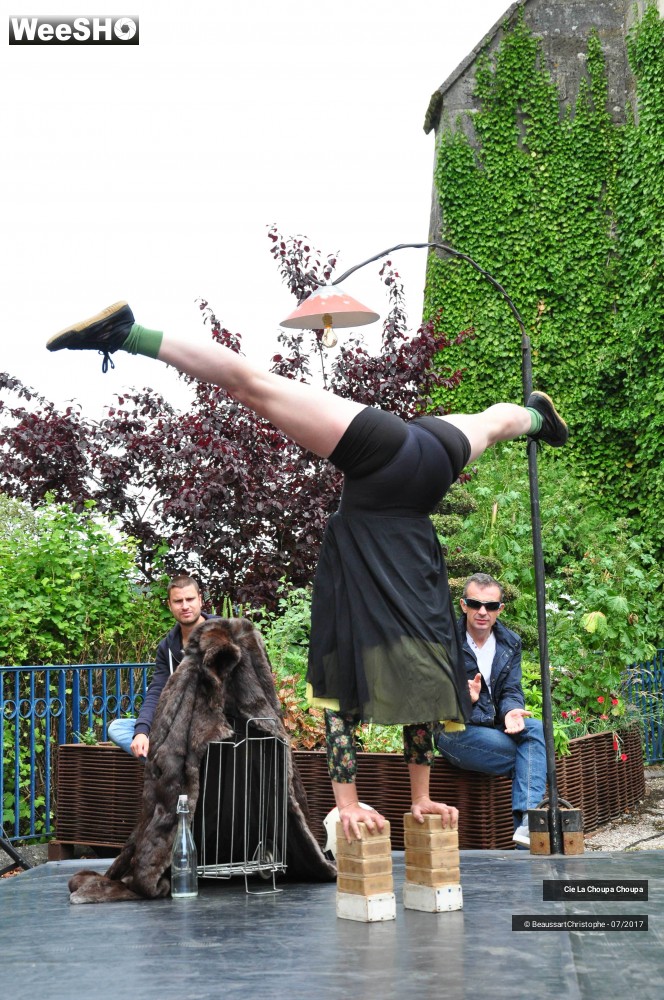 13/41 photos du spectacle La dernière danse de Monique