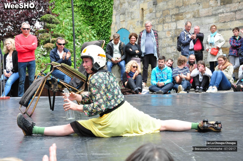 15/41 photos du spectacle La dernière danse de Monique