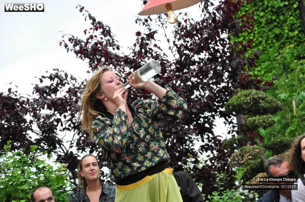 17/41 photos du spectacle La dernière danse de Monique