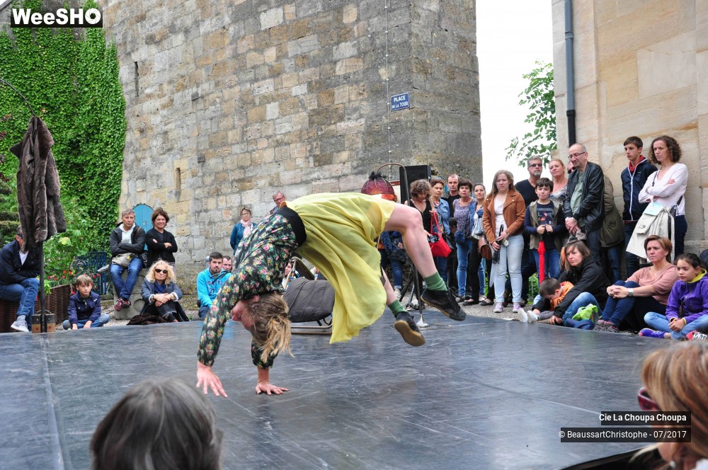 26/41 photos du spectacle La dernière danse de Monique