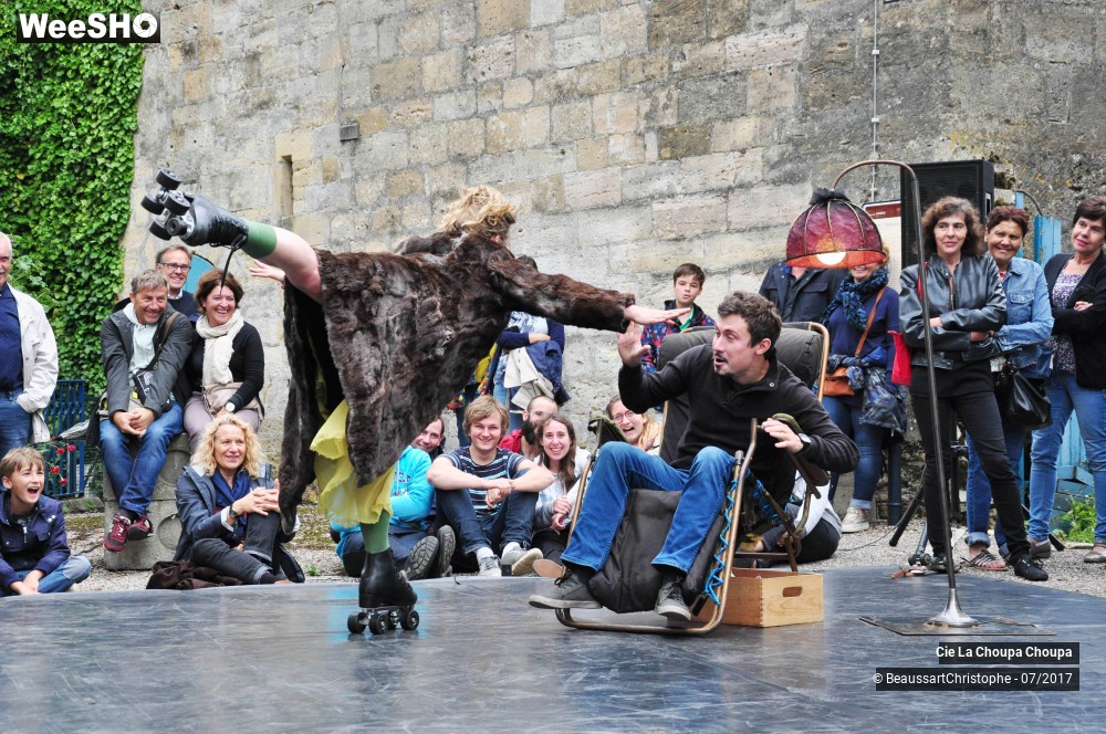 29/41 photos du spectacle La dernière danse de Monique