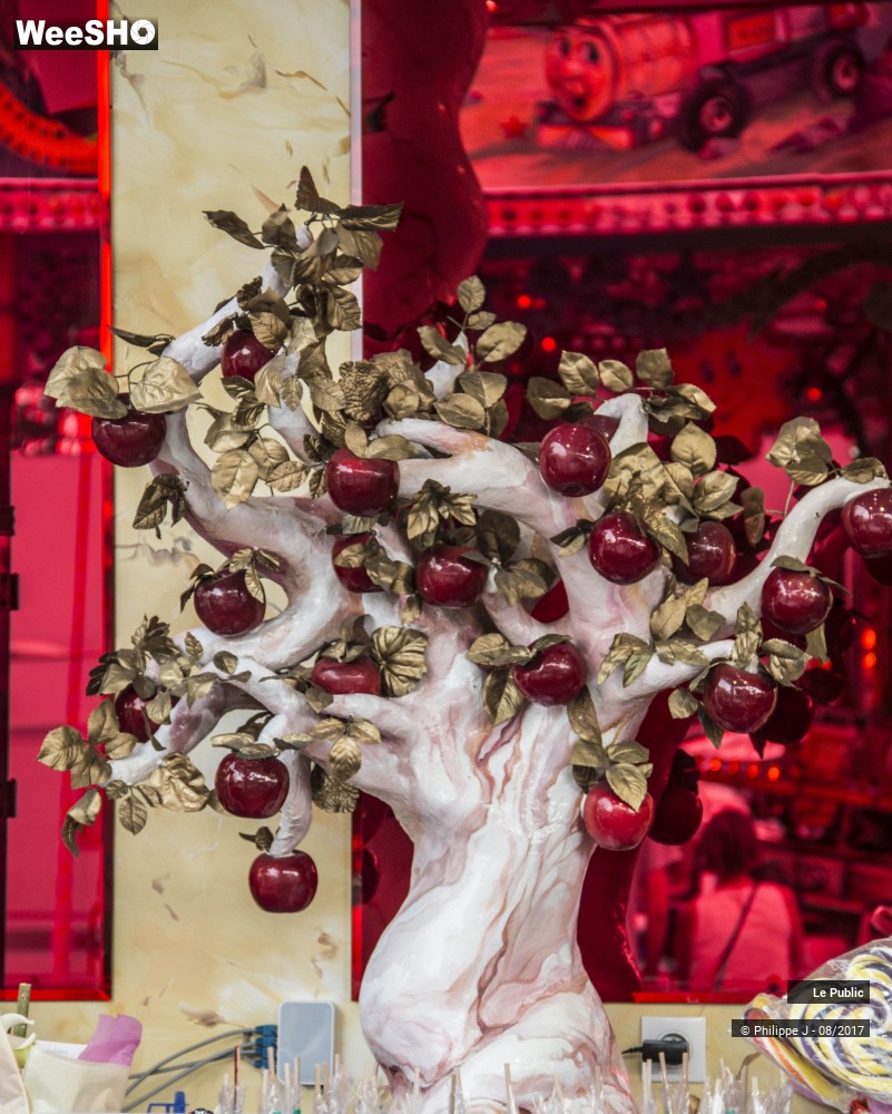 2/24 photos du spectacle Inauguration de la Foire aux Manèges 2017