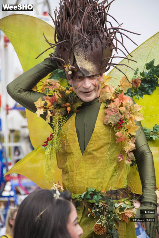 8/24 photos du spectacle Inauguration de la Foire aux Manèges 2017