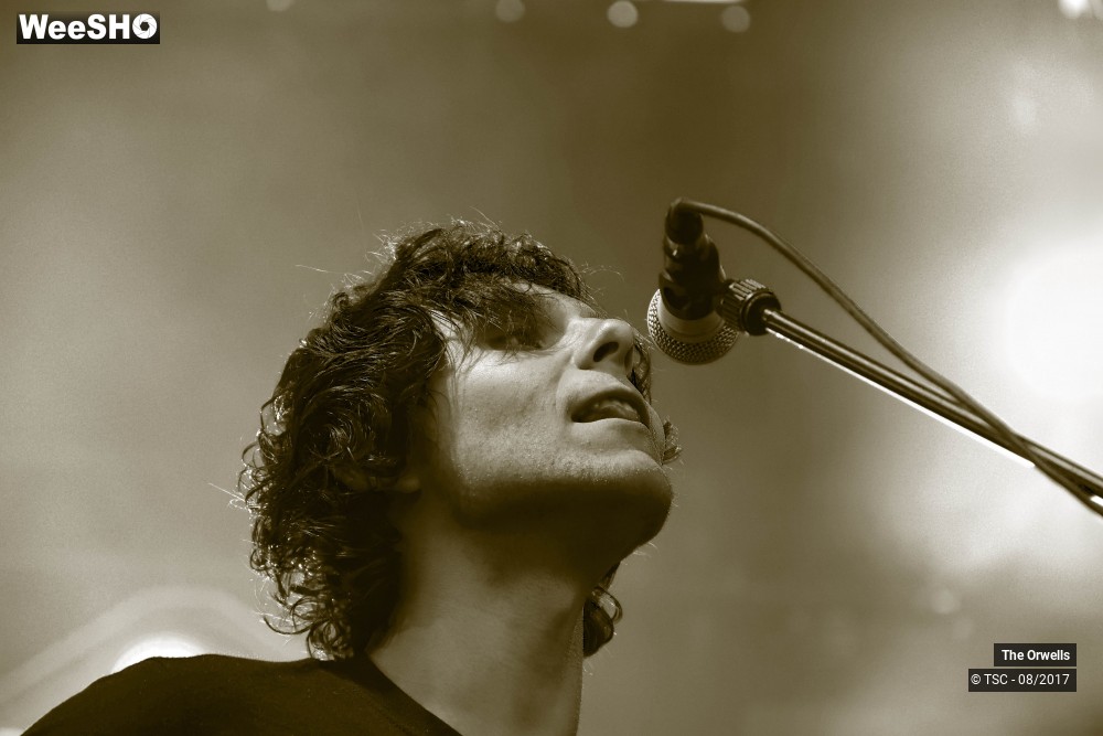 2/16 photos du spectacle The Orwells