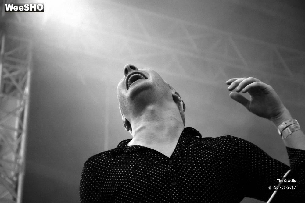 11/16 photos du spectacle The Orwells