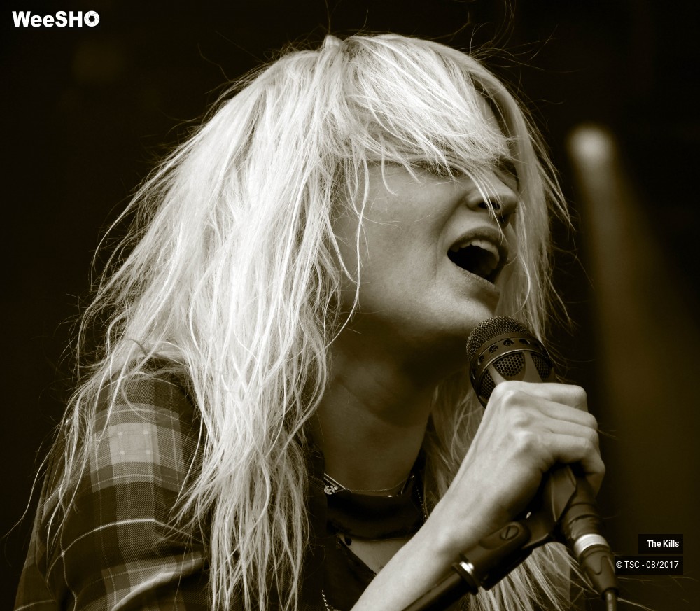 8/20 photos du spectacle The Kills