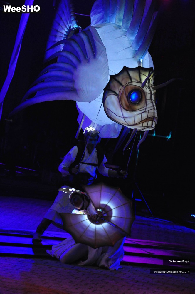 8/39 photos du spectacle Abysses