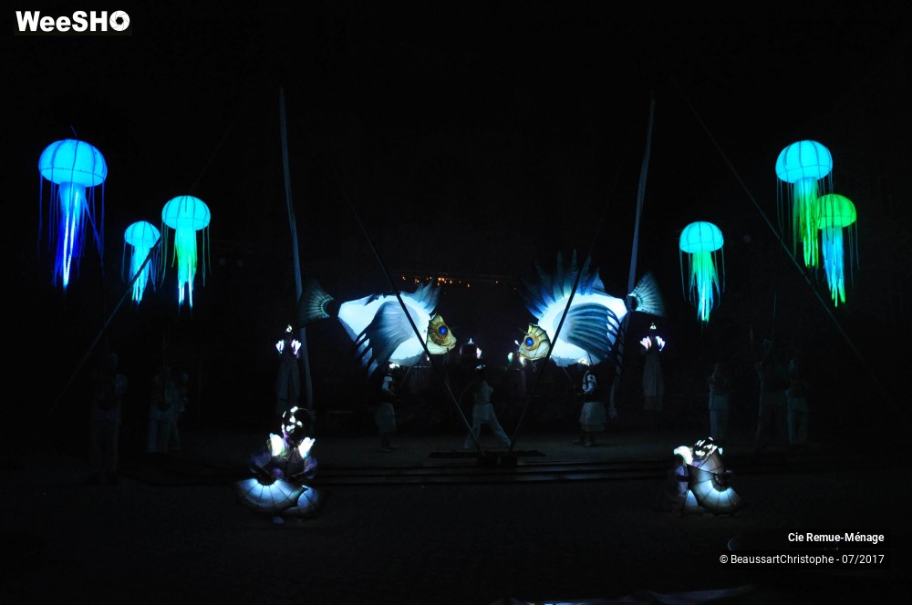 23/39 photos du spectacle Abysses