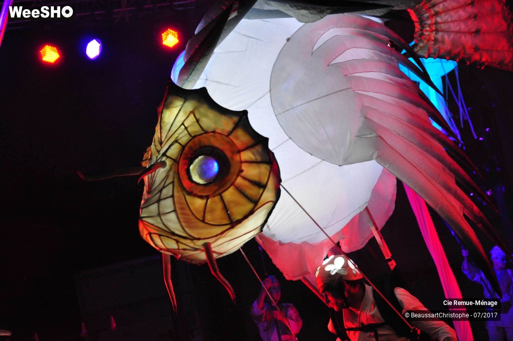 27/39 photos du spectacle Abysses