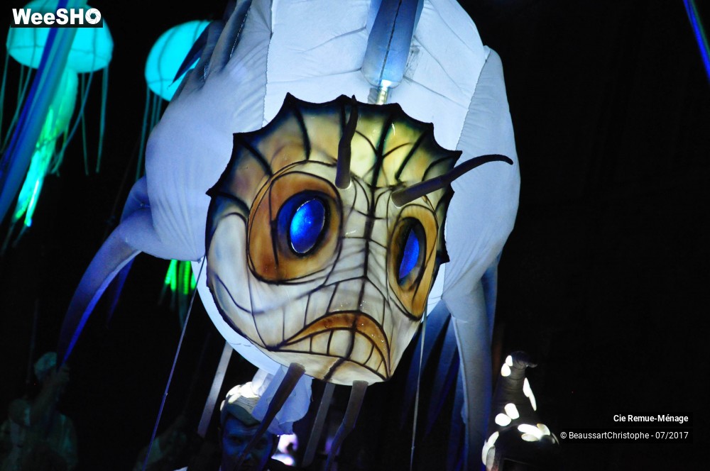 28/39 photos du spectacle Abysses