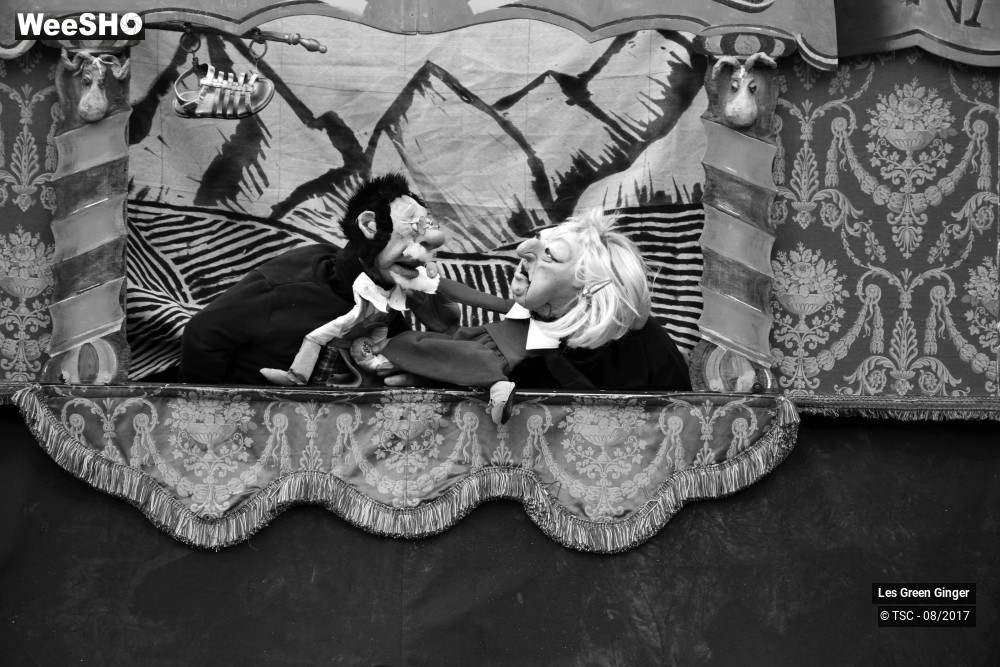 2/22 photos du spectacle Petit Tom