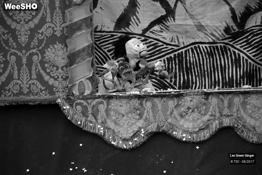 3/22 photos du spectacle Petit Tom