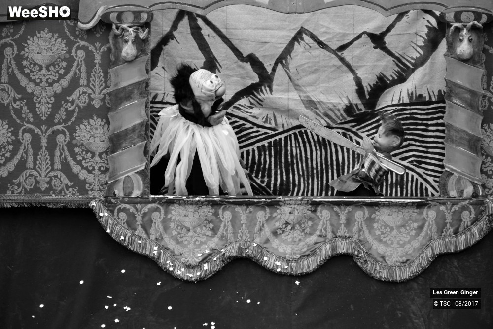 6/22 photos du spectacle Petit Tom