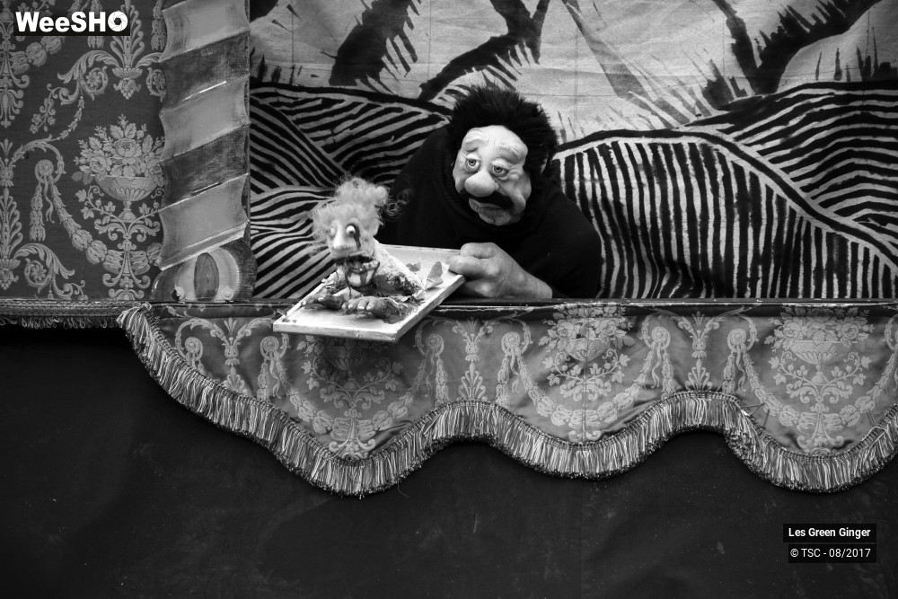 8/22 photos du spectacle Petit Tom