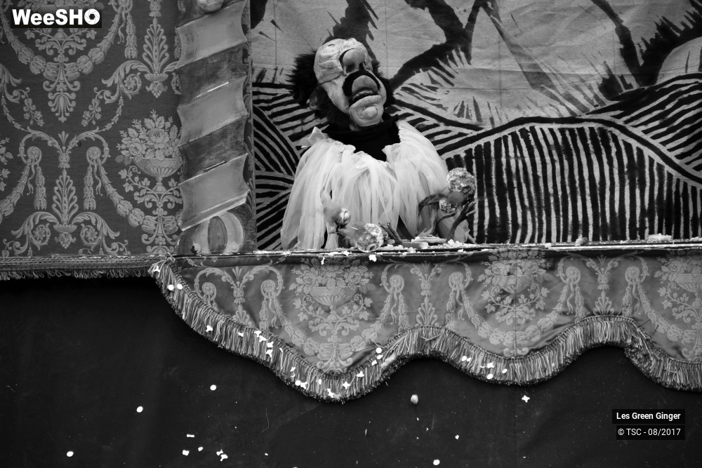 9/22 photos du spectacle Petit Tom