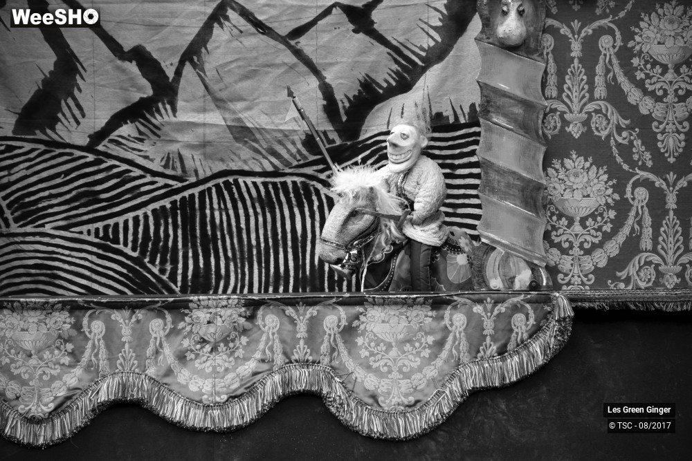 13/22 photos du spectacle Petit Tom