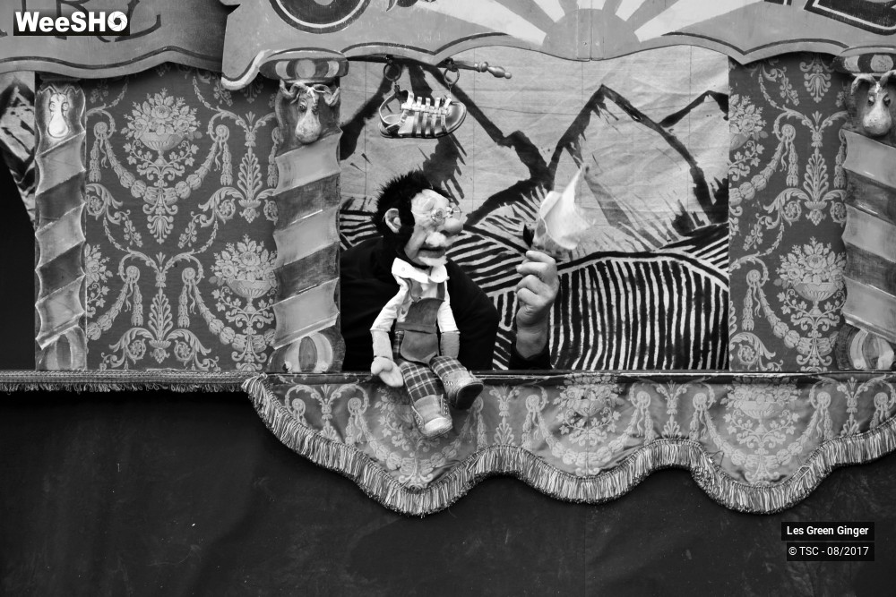 20/22 photos du spectacle Petit Tom