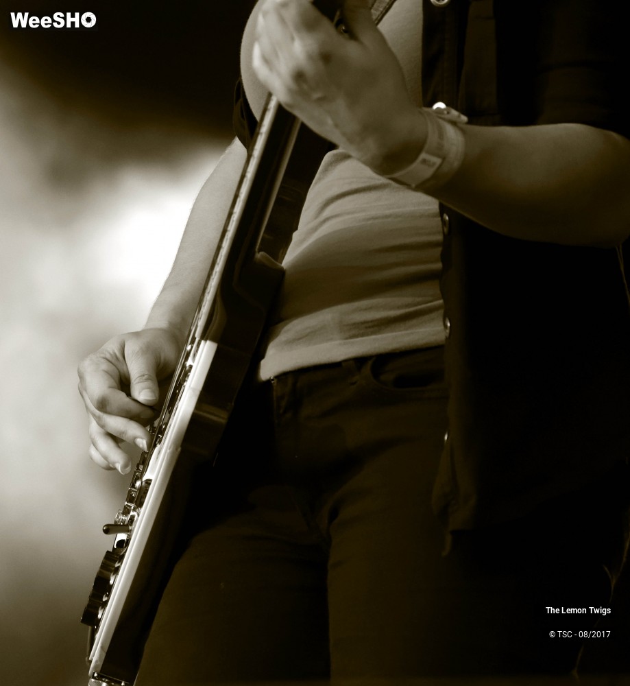 1/21 photos du spectacle The Lemon Twigs