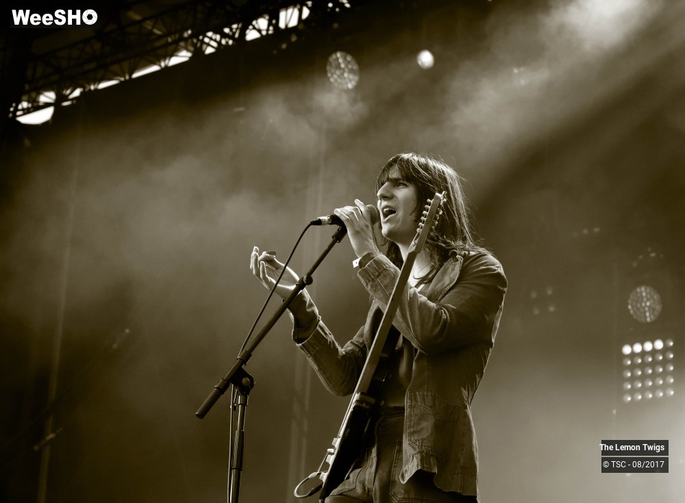 14/21 photos du spectacle The Lemon Twigs