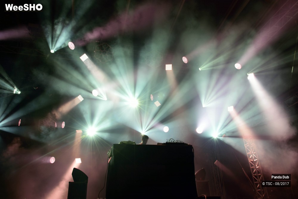 5/5 photos du spectacle Panda Dub