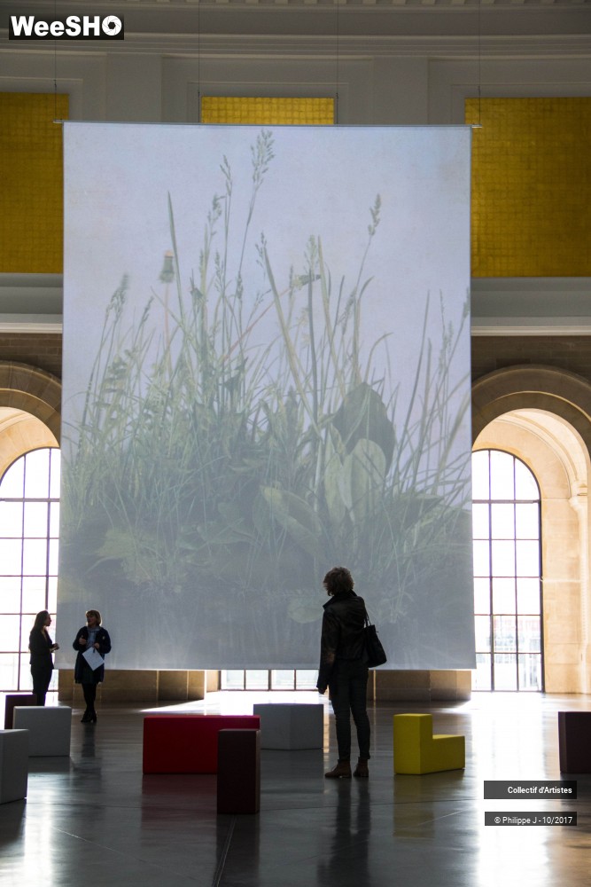 1/22 photos du spectacle Jean-François Millet Millet USA