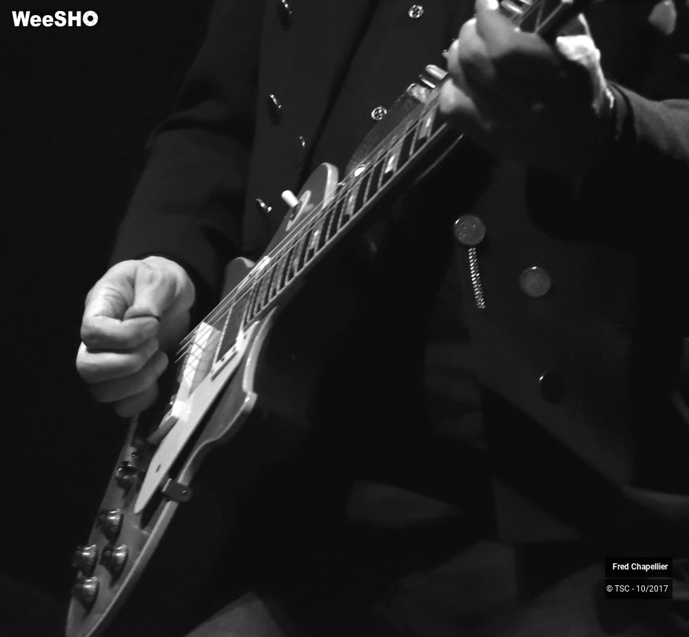 18/29 photos du spectacle Fred Chapellier Plays Peter Green