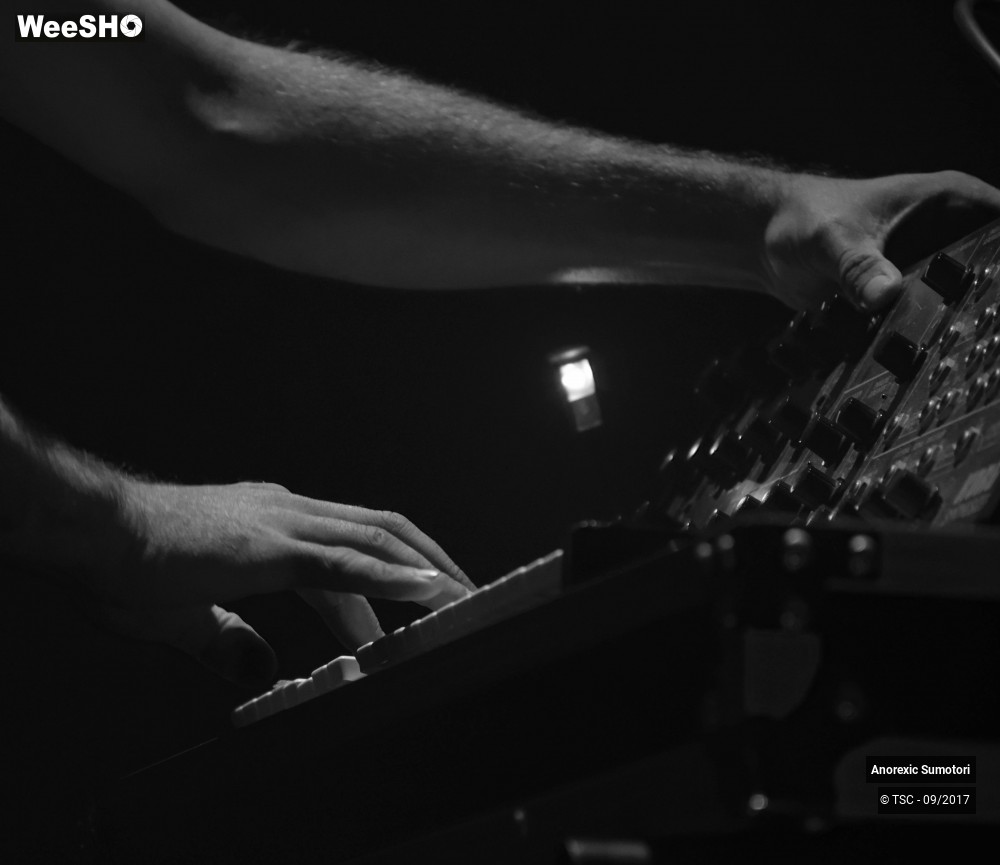 7/14 photos du spectacle Anorexic Sumotori 