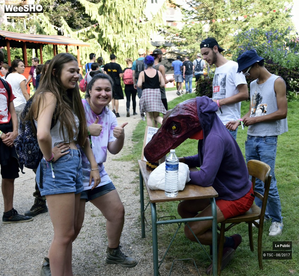 15/35 photos du spectacle Ambiance du Cabaret Vert 2017 Jour 1