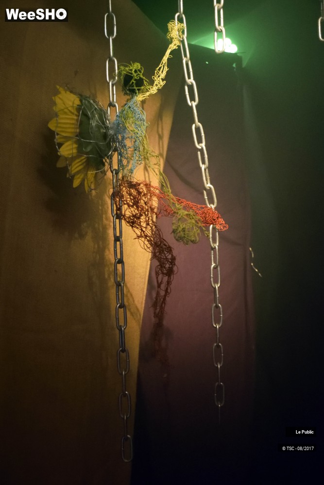 1/17 photos du spectacle Ambiance du Cabaret Vert 2017 Jour 2