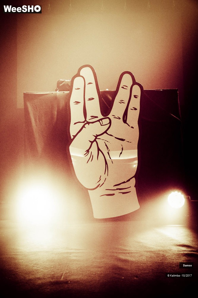 3/34 photos du spectacle Damso