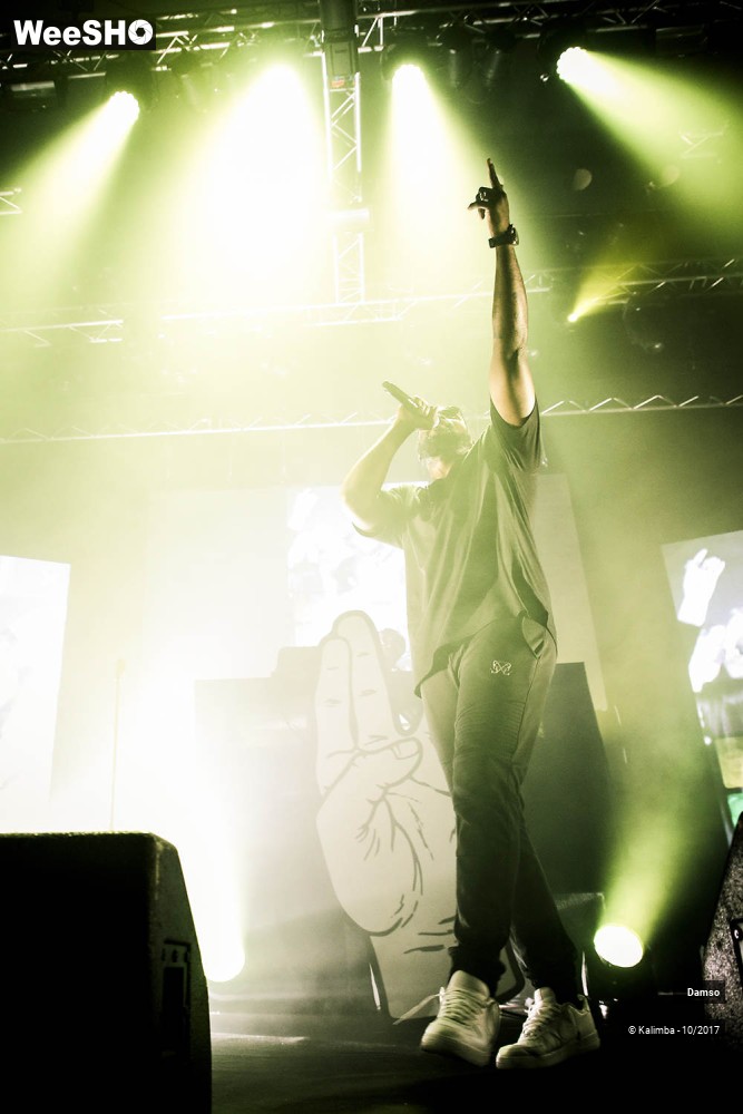 6/34 photos du spectacle Damso