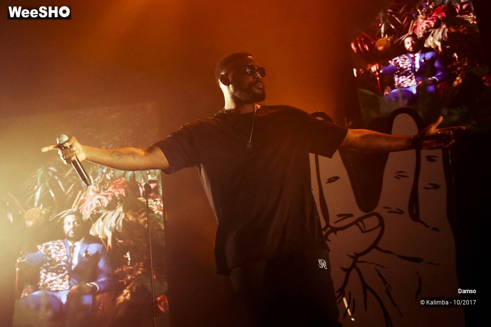 7/34 photos du spectacle Damso