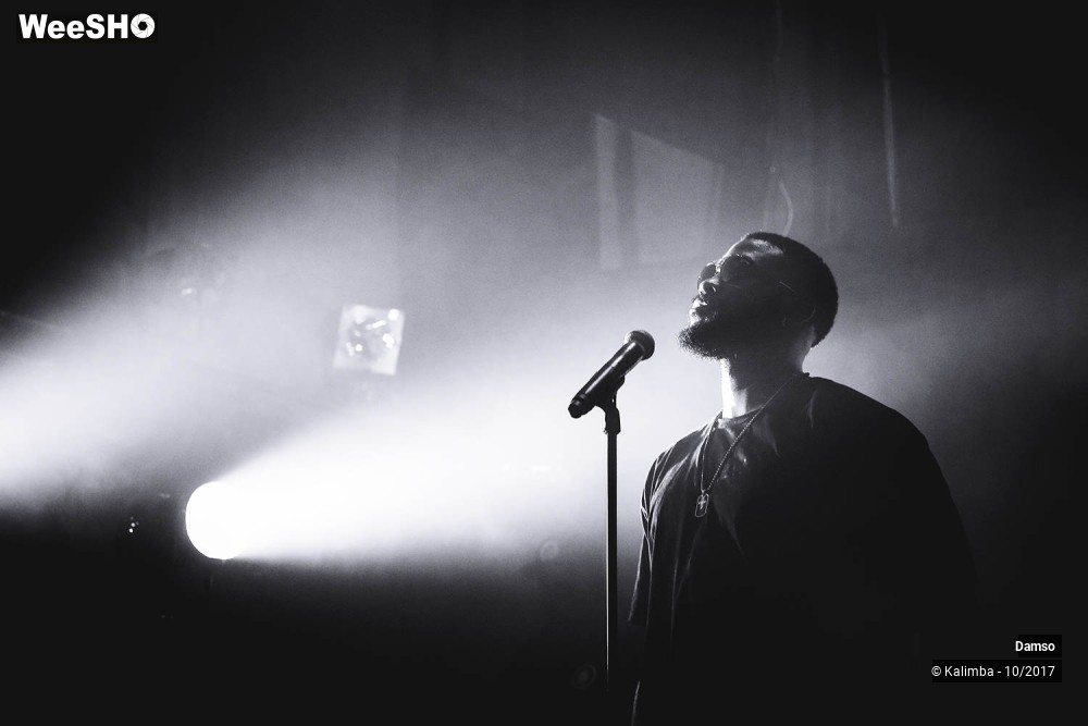 8/34 photos du spectacle Damso